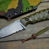 Ekarta - olive premium - obrazek 2
