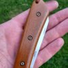 Polish vintage ecarta - Honey Xcut -  2 szt okładek - obrazek 3