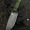 Ecarta - Zombie Xcut - 2 szt. okładek - Image 3