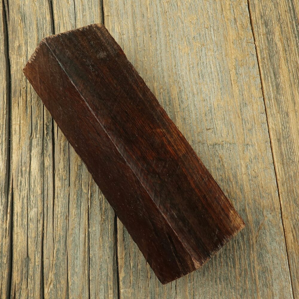 Arizona desert ironwood - 397