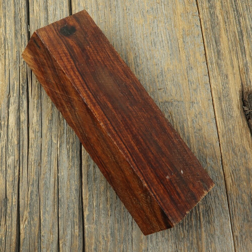 Arizona desert ironwood - 398