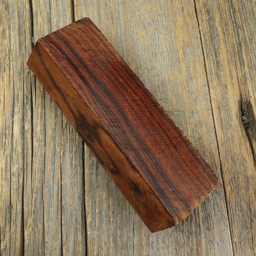 Arizona desert ironwood - 405
