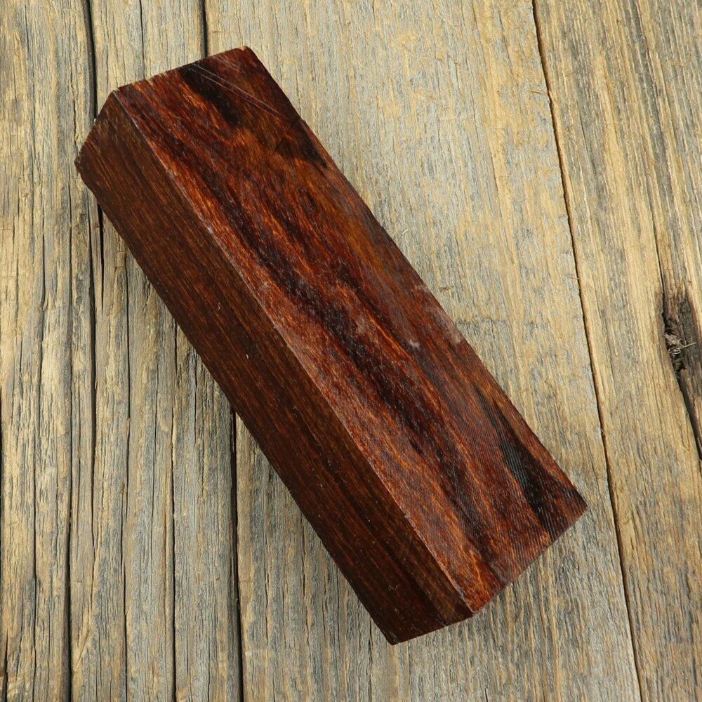 Arizona desert ironwood - 406