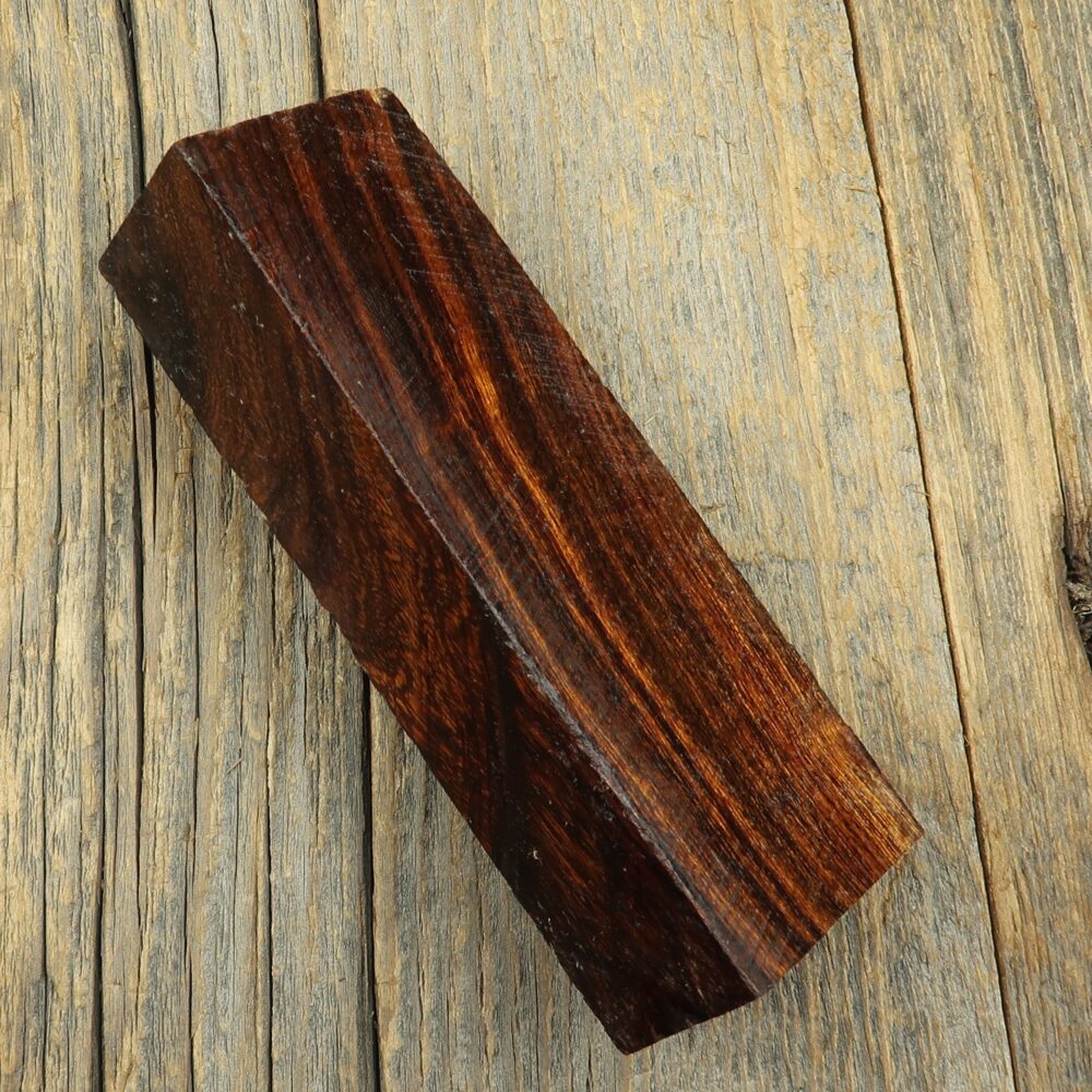 Arizona desert ironwood - 410