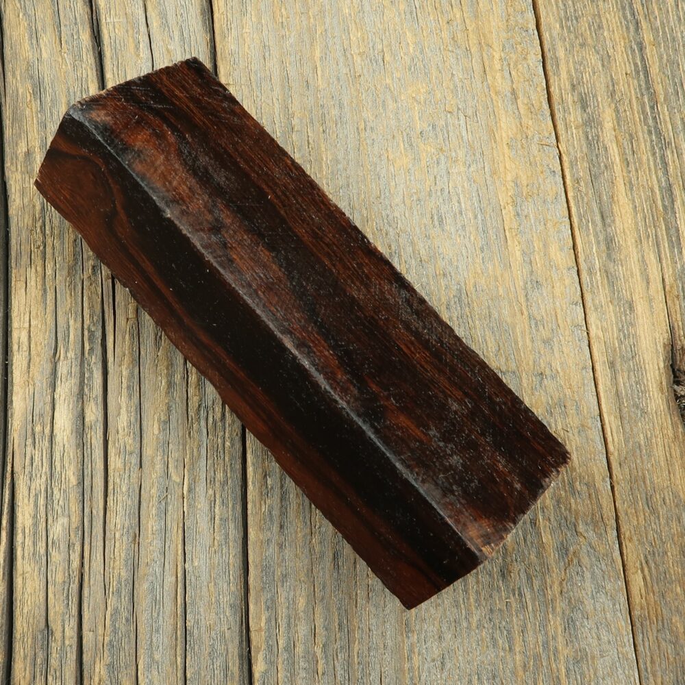 Arizona desert ironwood - 411