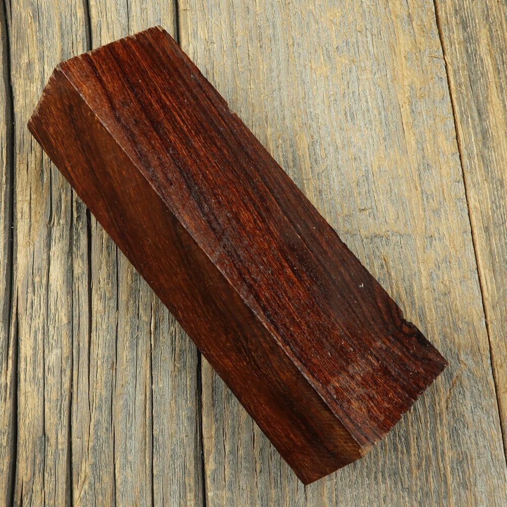 Arizona desert ironwood - 412