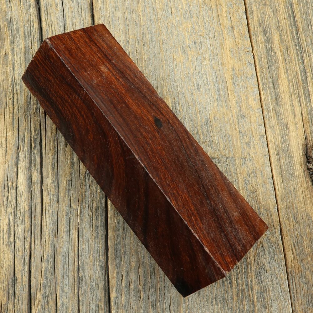 Arizona desert ironwood - 414