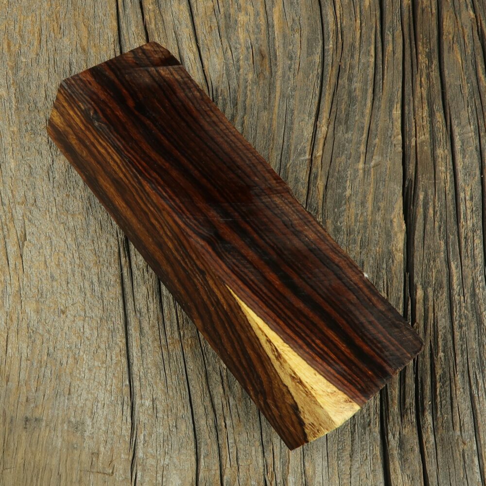 Arizona desert ironwood - 445