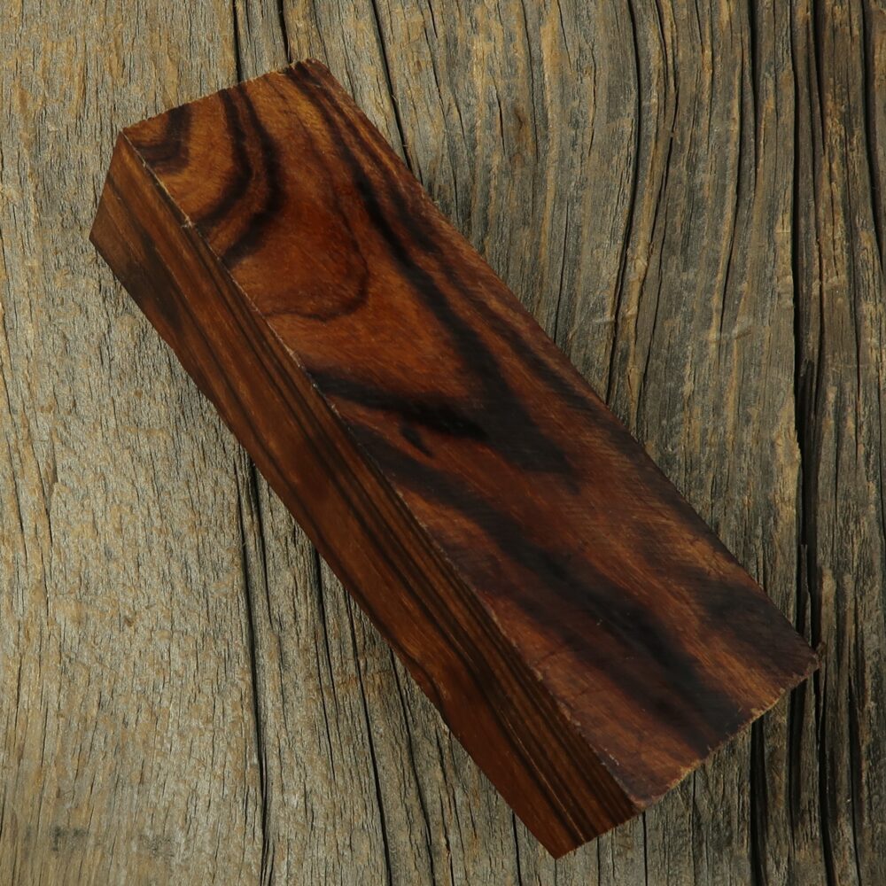 Arizona desert ironwood - 446