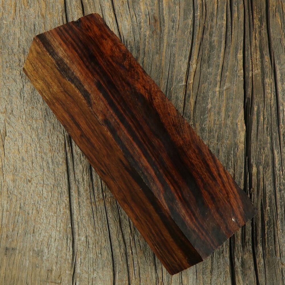 Arizona desert ironwood - 447