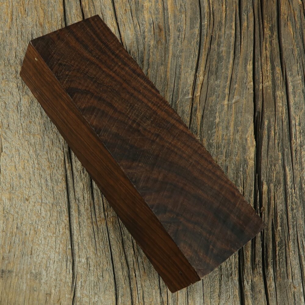 Arizona desert ironwood - 448
