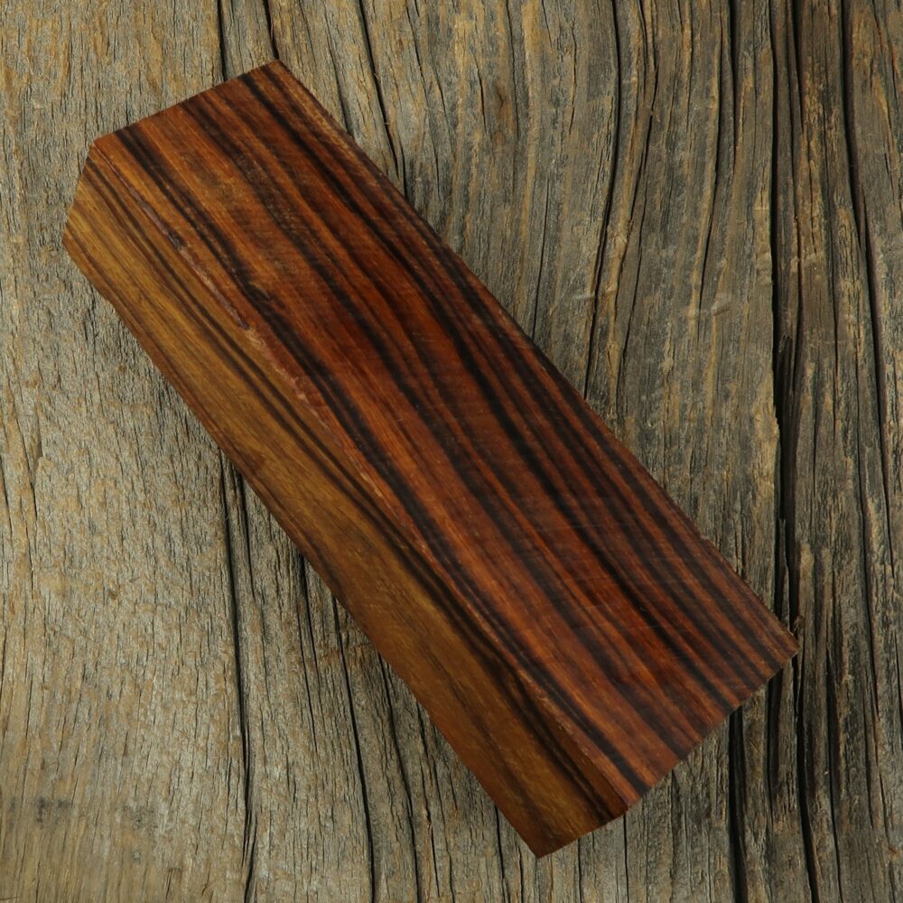 Arizona desert ironwood - 449