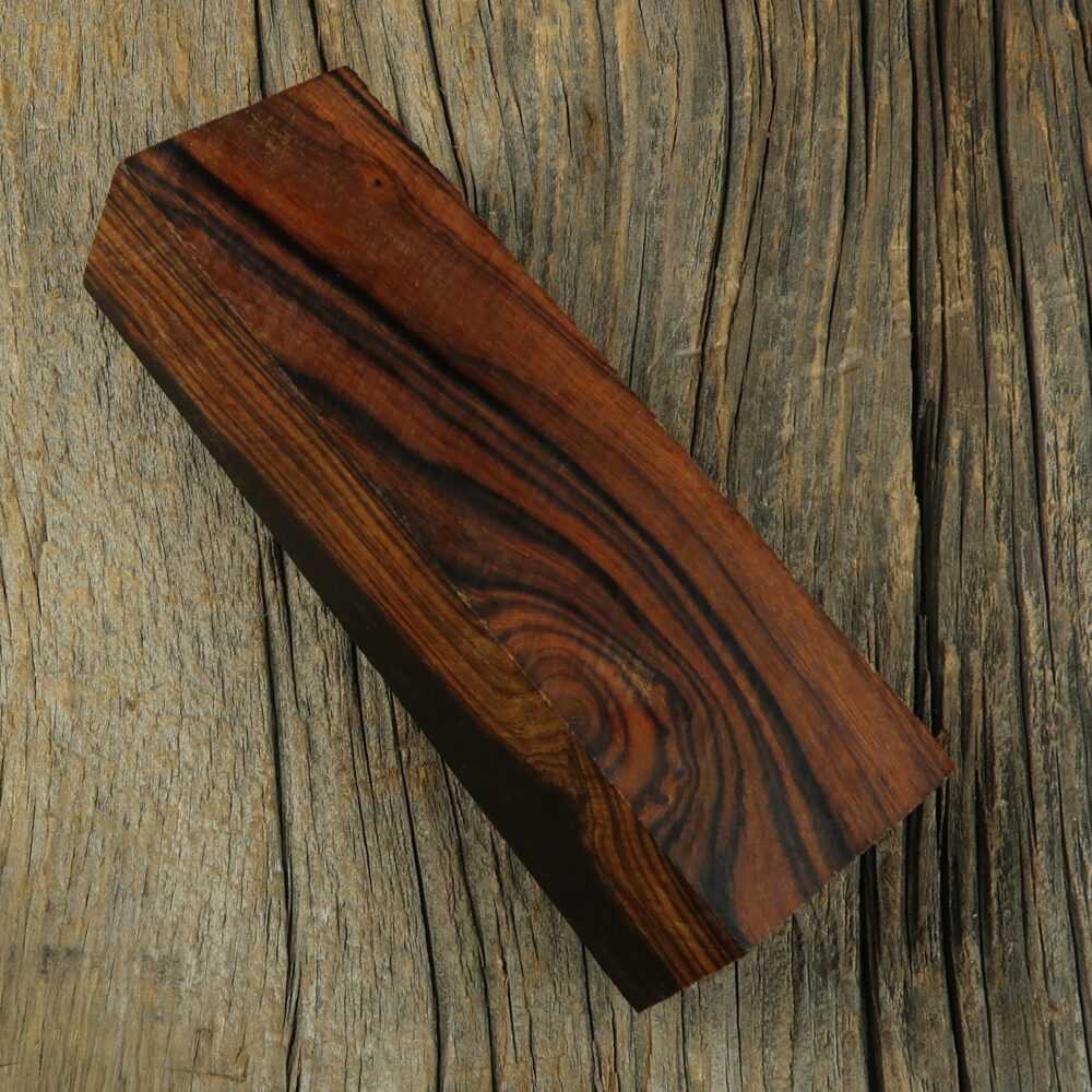 Arizona desert ironwood - 450