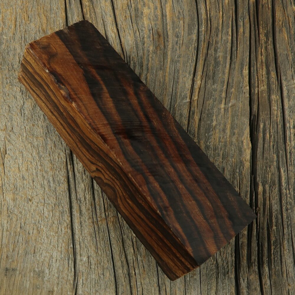 Arizona desert ironwood - 451