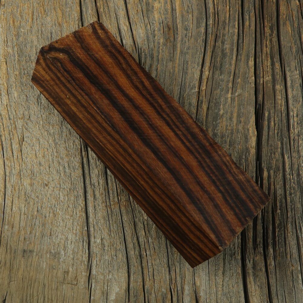 Arizona desert ironwood - 452