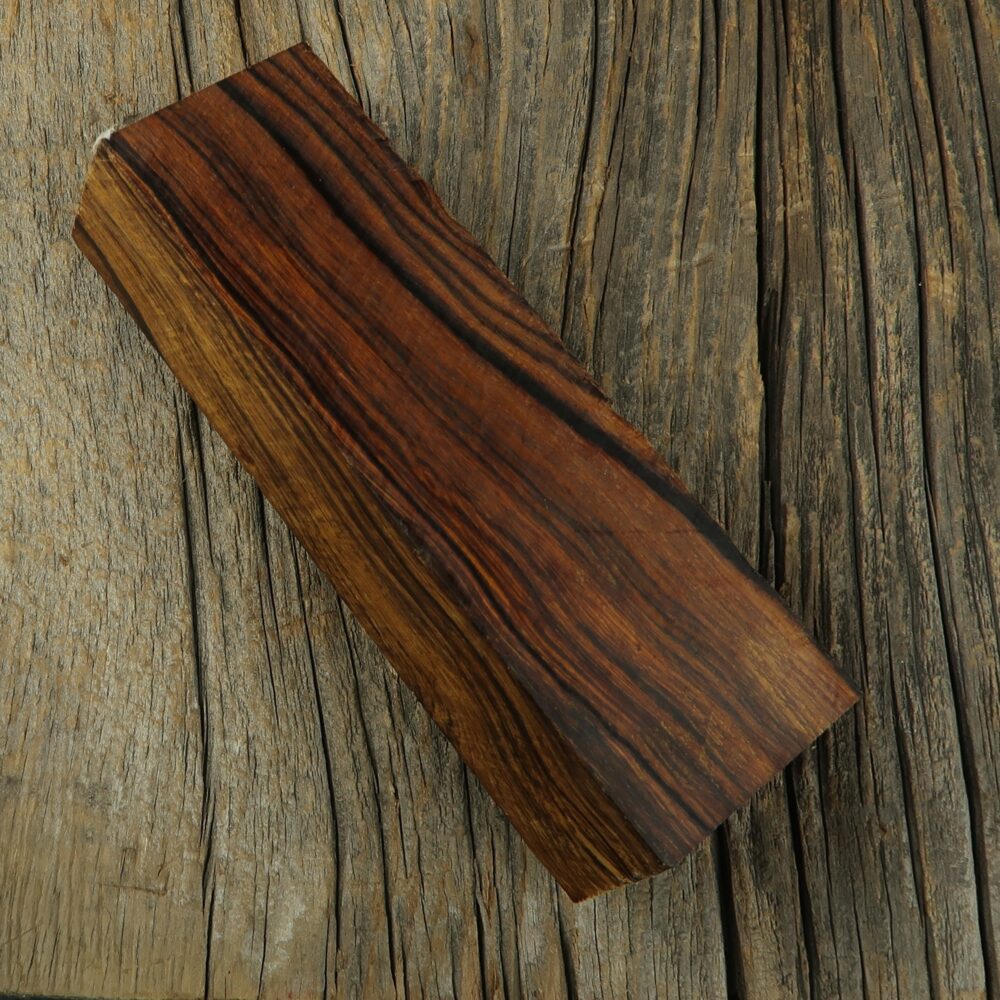 Arizona desert ironwood - 453