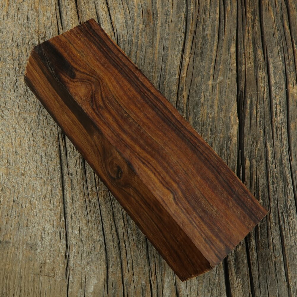 Arizona desert ironwood - 454