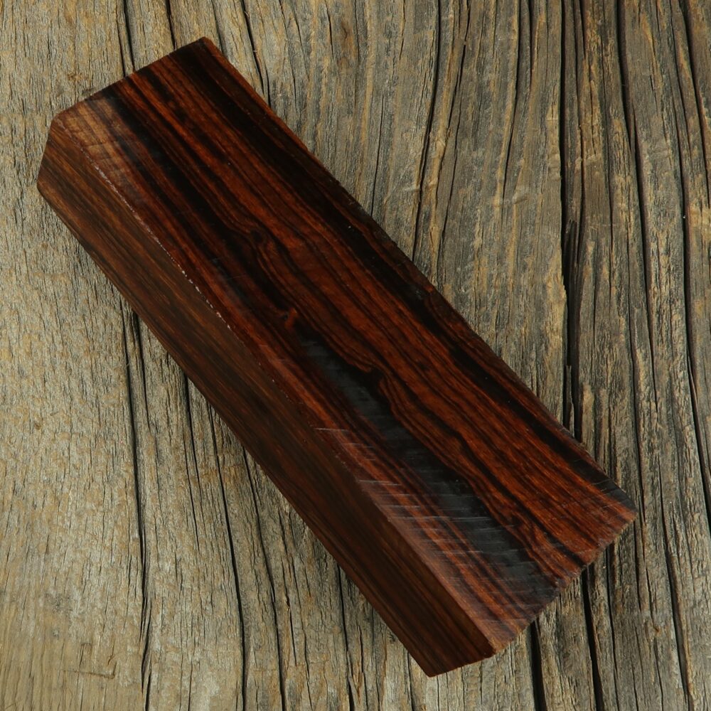 Arizona desert ironwood - 455