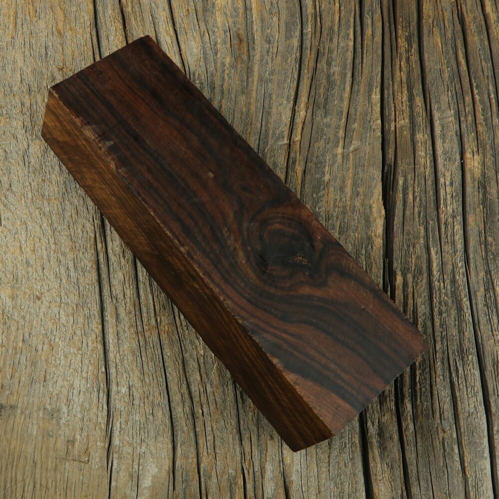 Arizona desert ironwood - 456