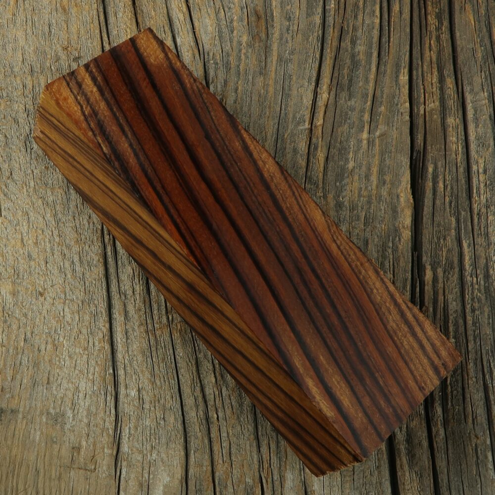 Arizona desert ironwood - 457