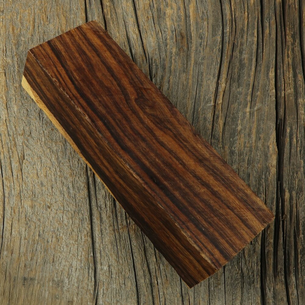 Arizona desert ironwood - 458