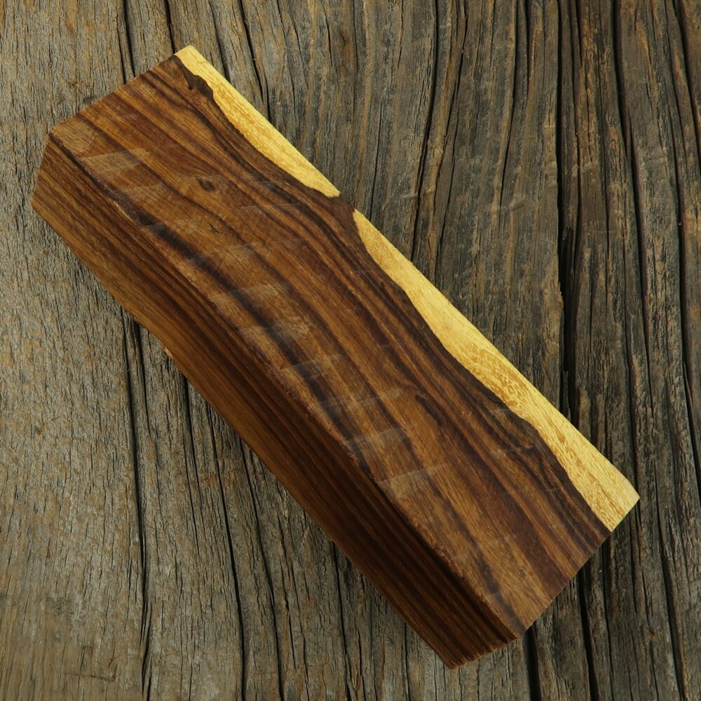 Arizona desert ironwood - 460