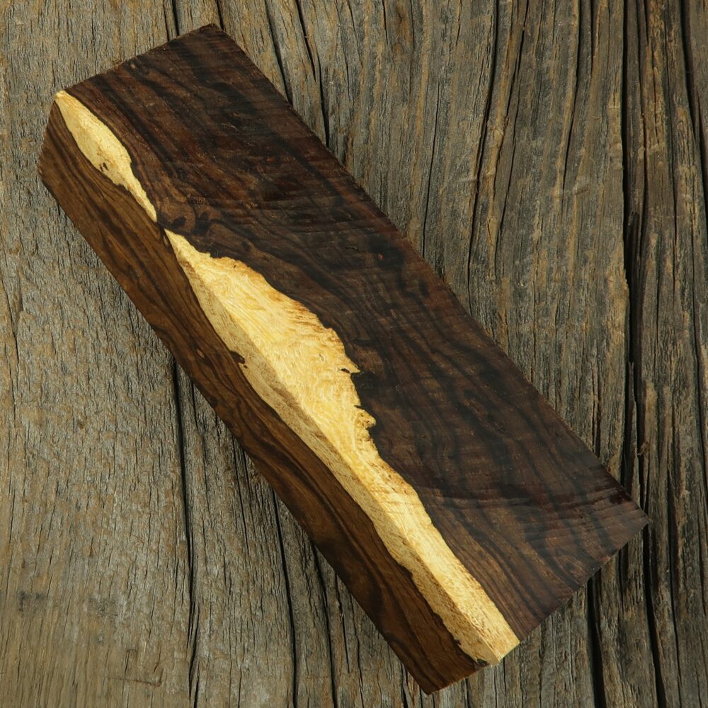 Arizona desert ironwood - 461