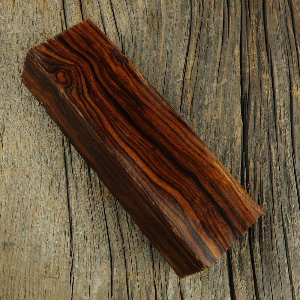 Arizona desert ironwood - 462