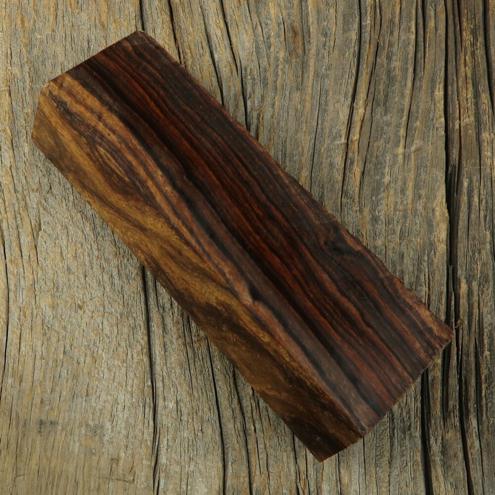 Arizona desert ironwood - 463