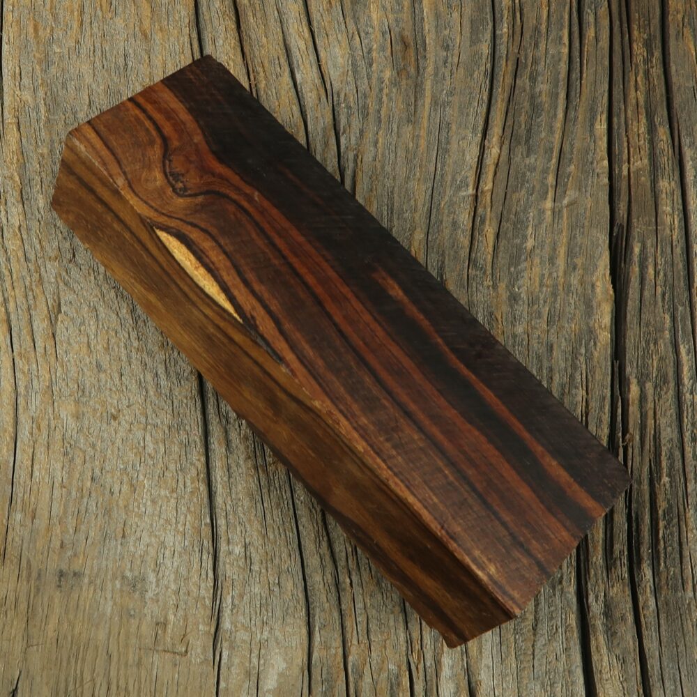 Arizona desert ironwood - 464