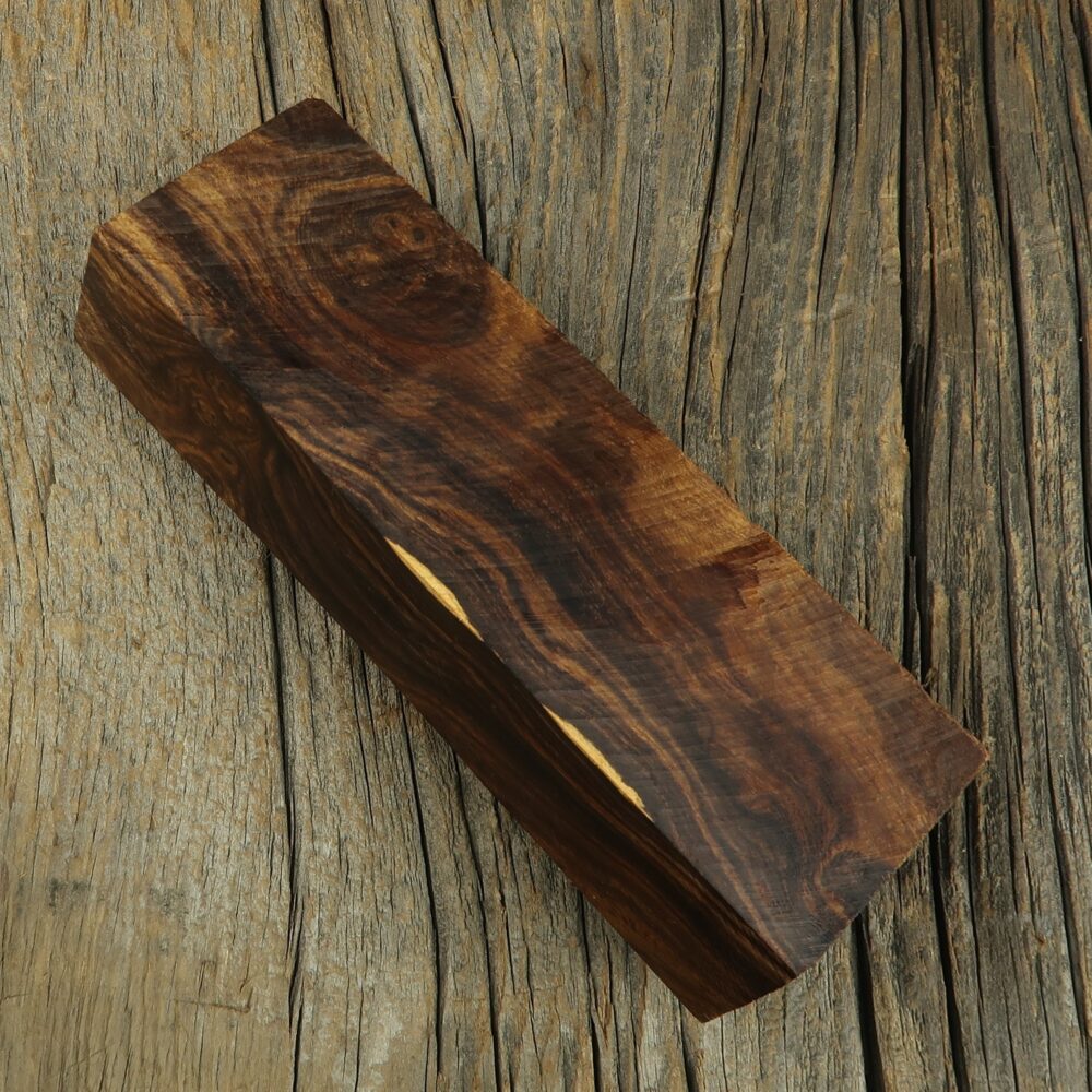 Arizona desert ironwood - 465