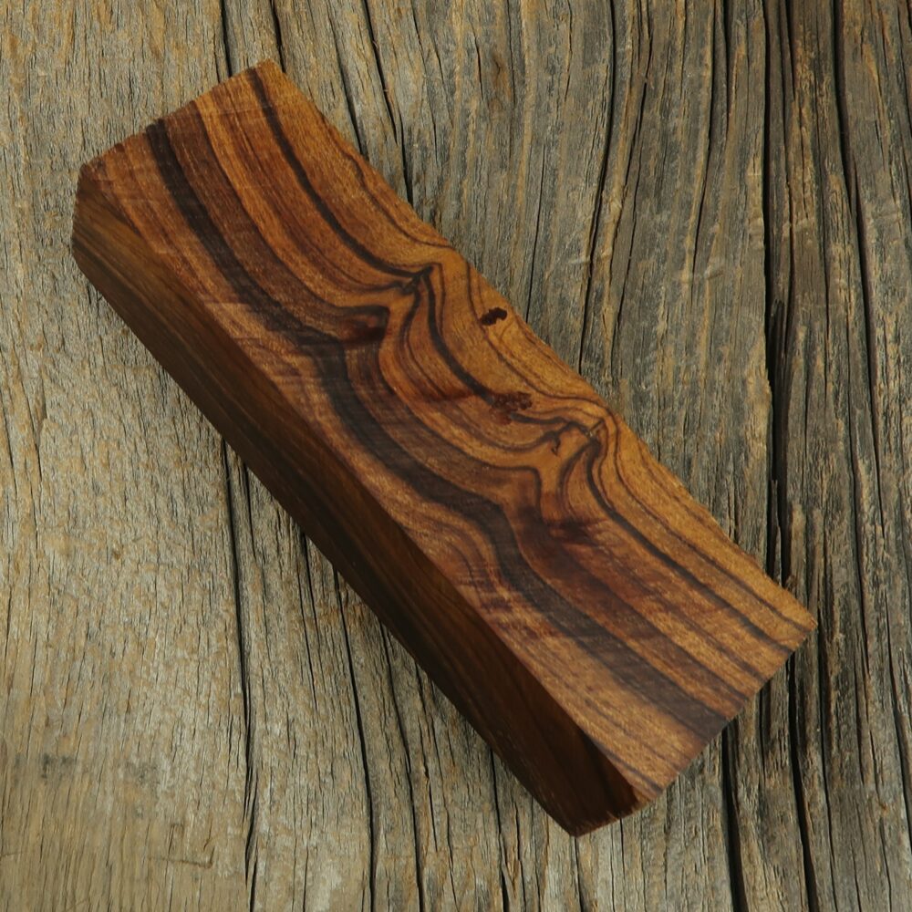 Arizona desert ironwood - 466