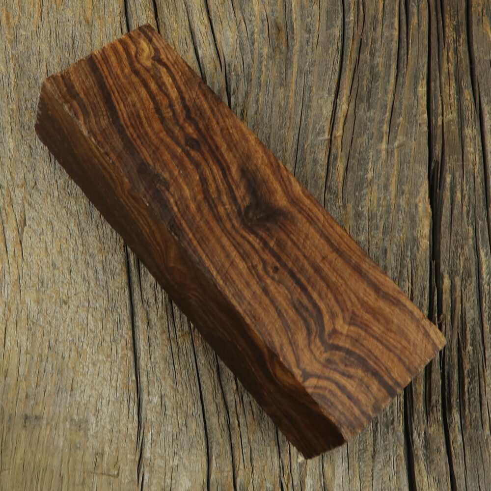 Arizona desert ironwood - 468