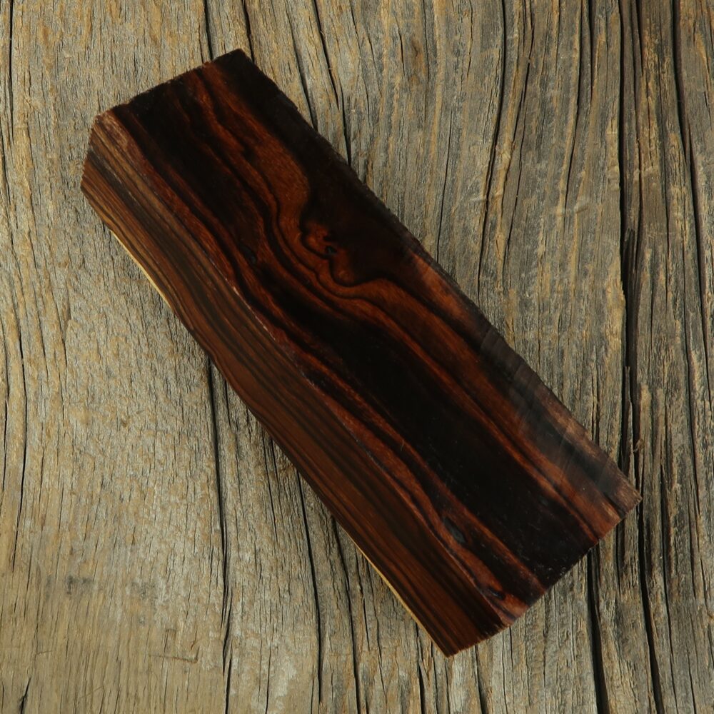 Arizona desert ironwood - 469