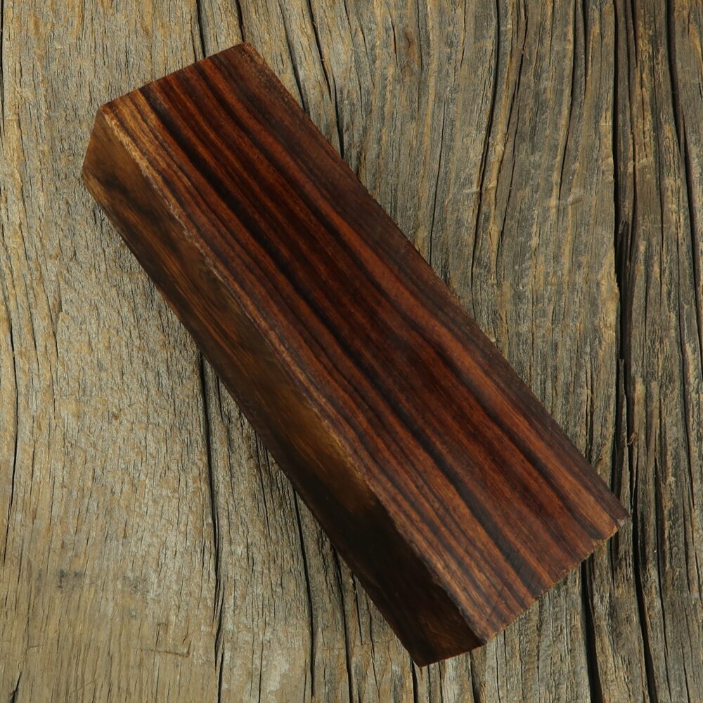 Arizona desert ironwood - 470