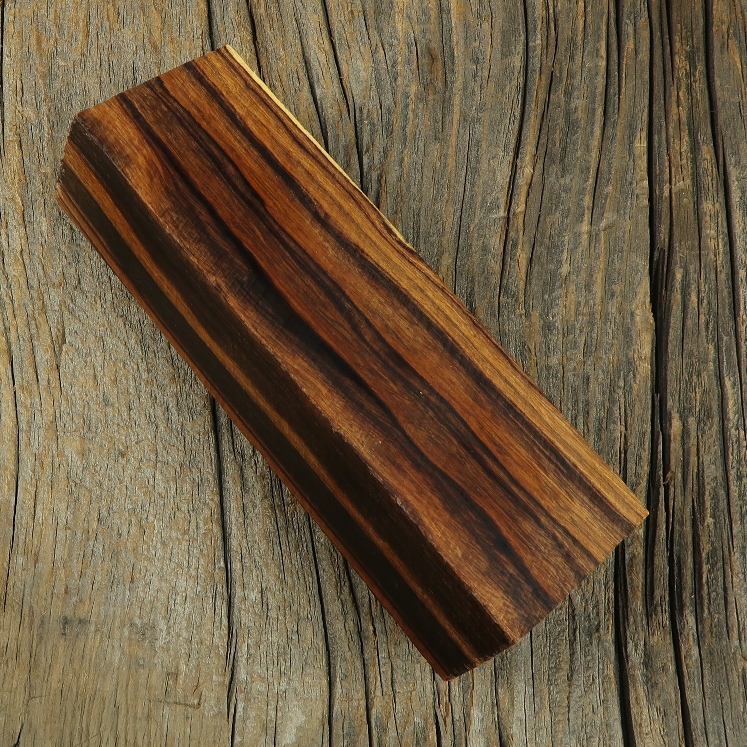Arizona desert ironwood - 471