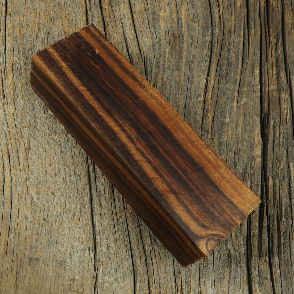 Arizona desert ironwood - 472