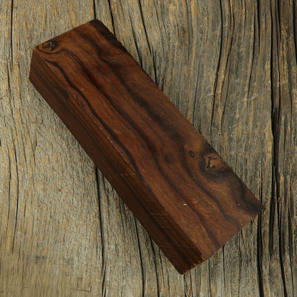 Arizona desert ironwood - 473