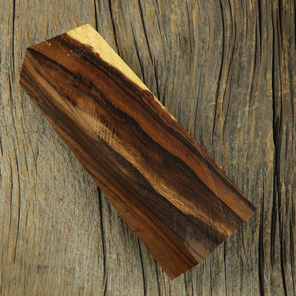 Arizona desert ironwood - 474