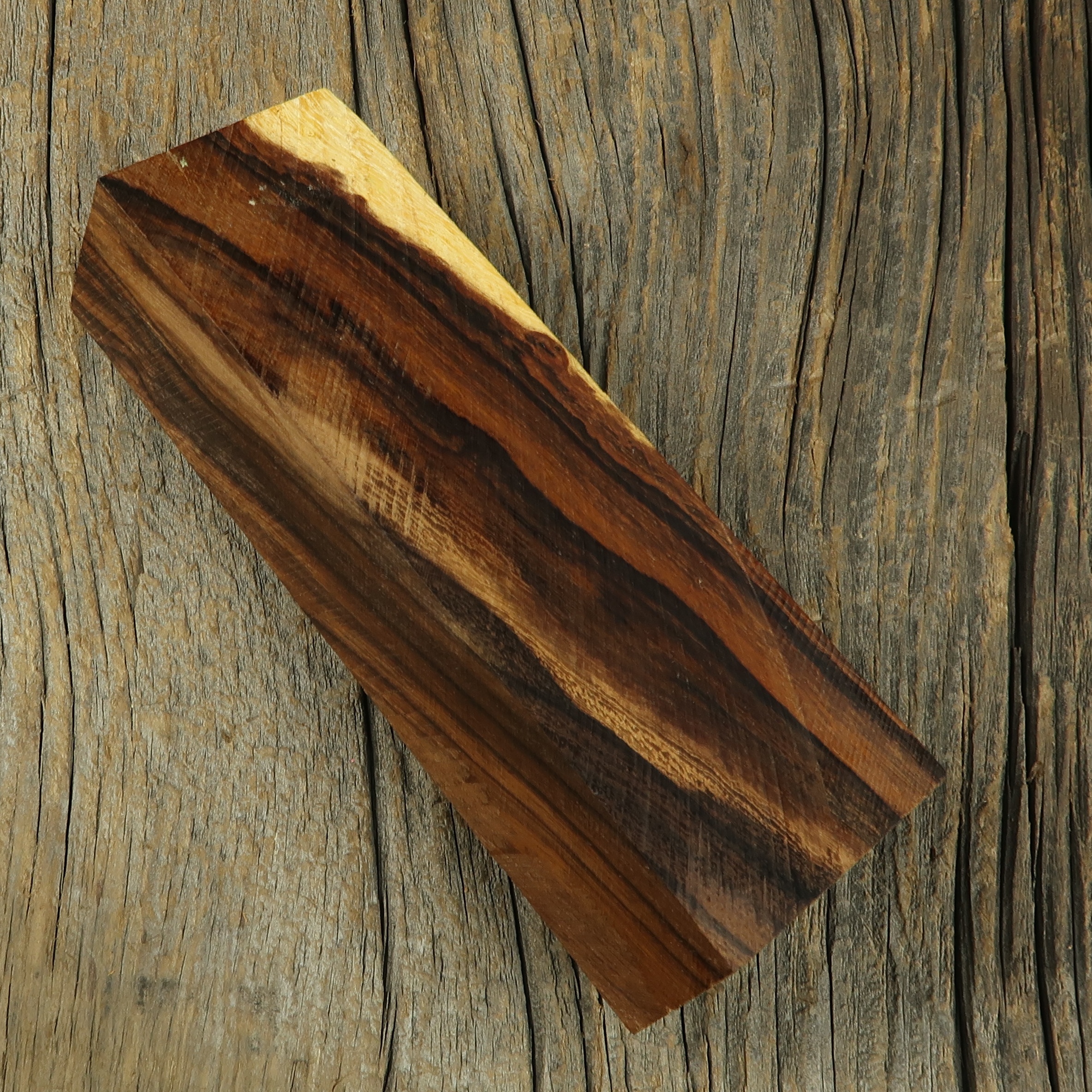 Arizona desert ironwood - 474