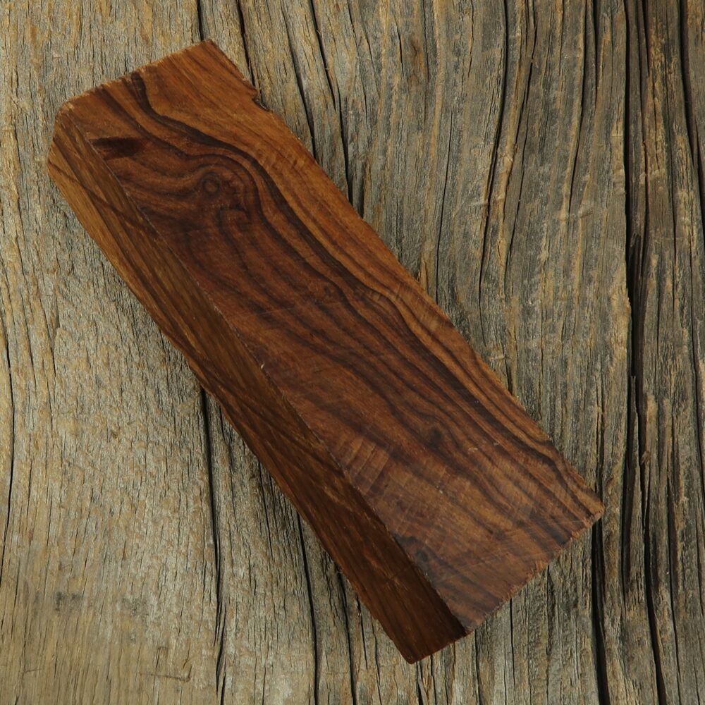 Arizona desert ironwood - 475