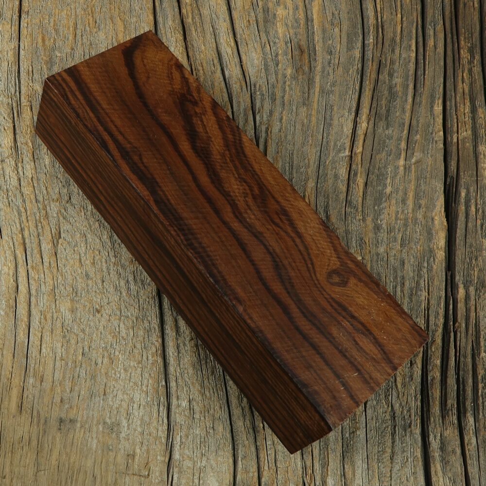Arizona desert ironwood - 476