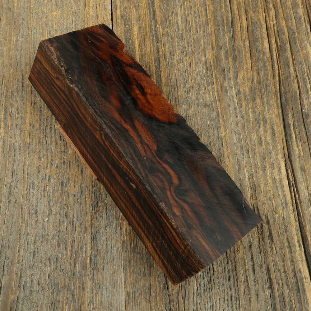 Arizona desert ironwood - 639