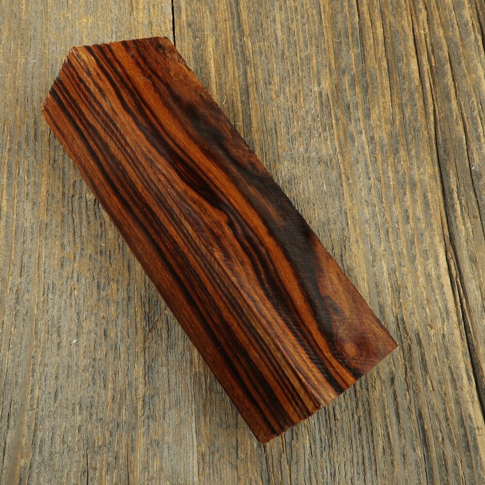 Arizona desert ironwood - 641