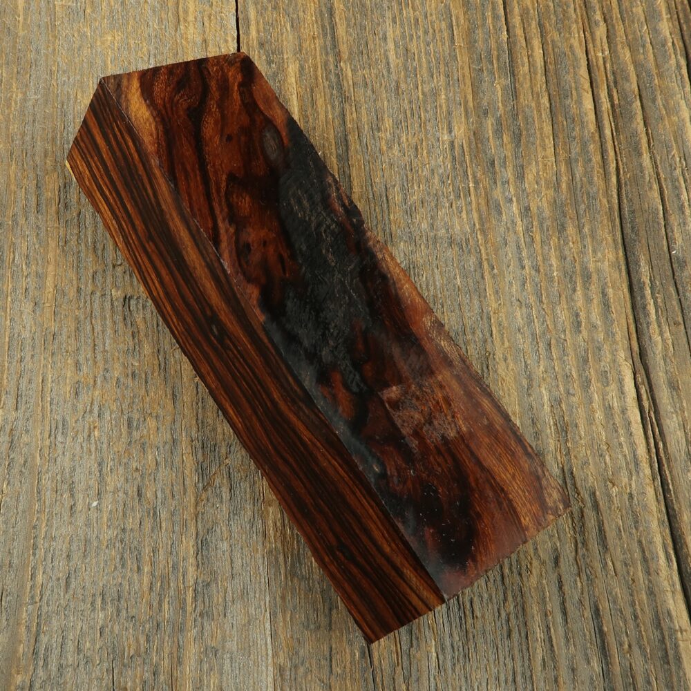 Arizona desert ironwood - 643