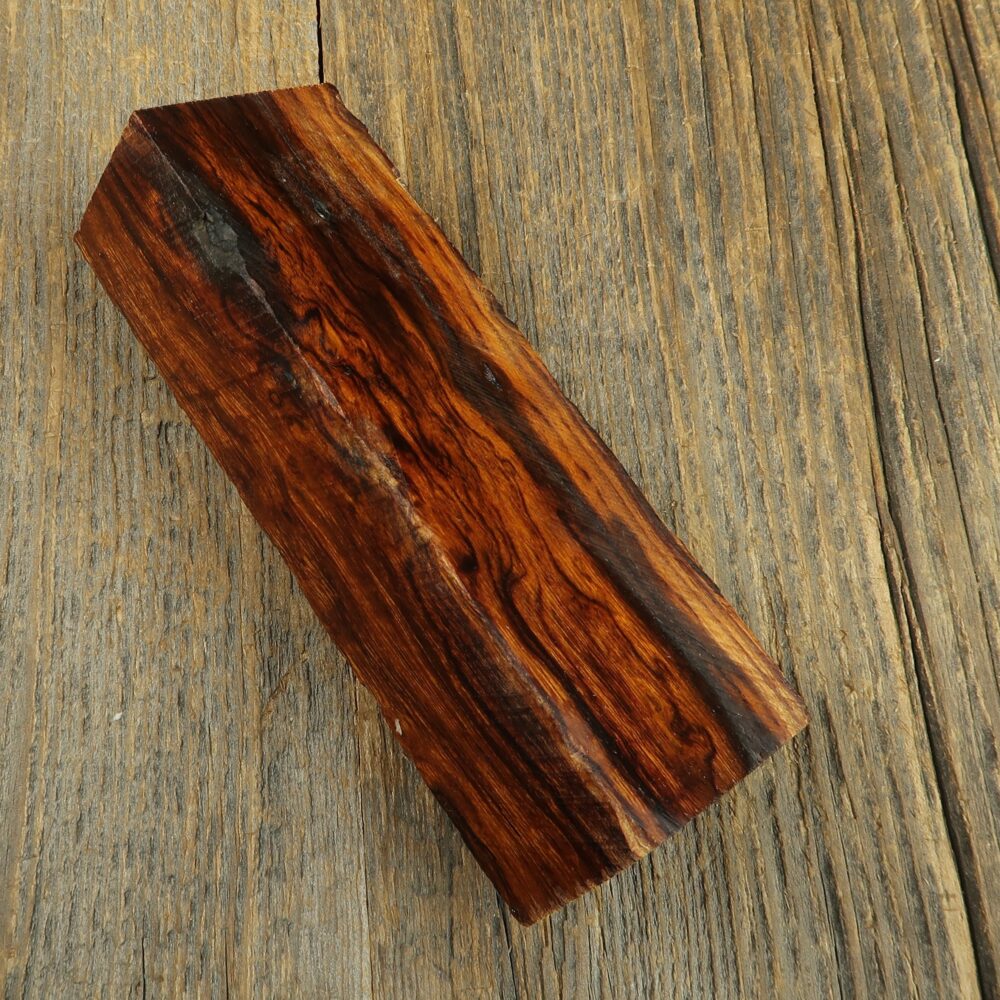 Arizona desert ironwood - 645