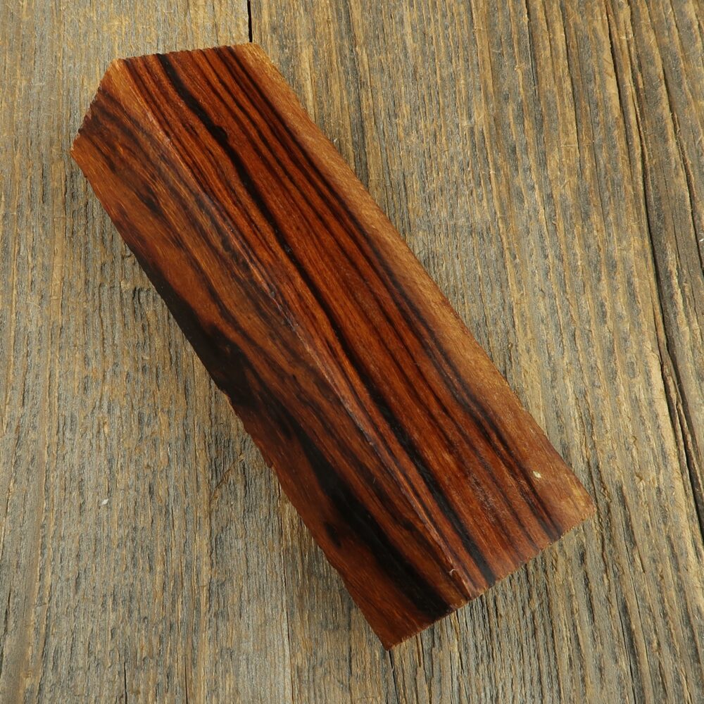 Arizona desert ironwood - 646