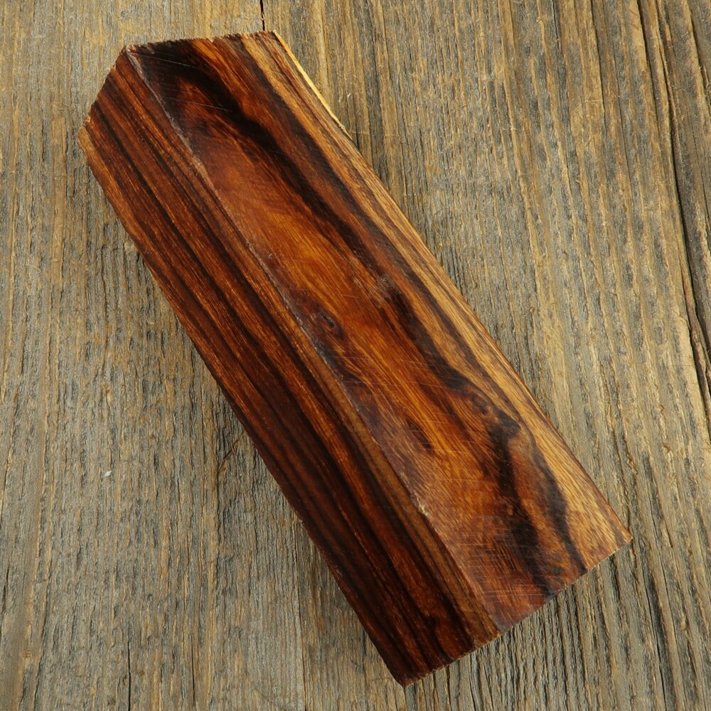 Arizona desert ironwood - 647