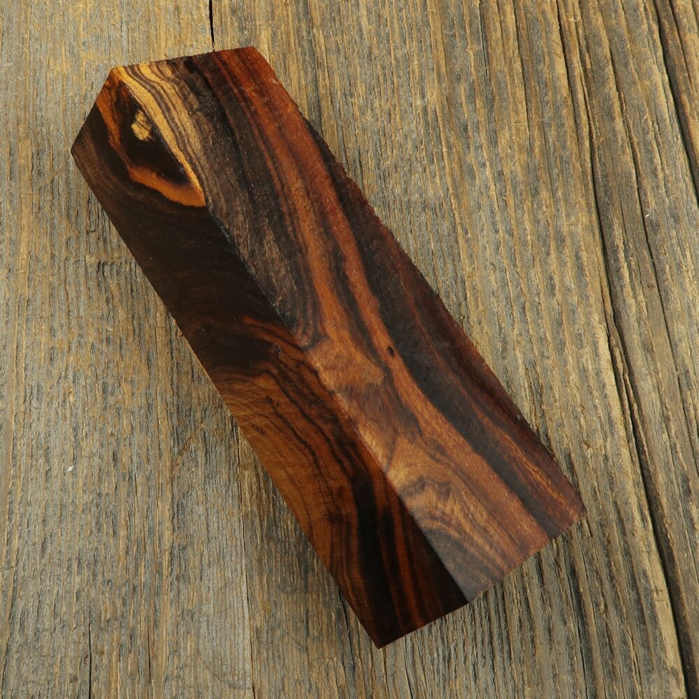 Arizona desert ironwood - 649