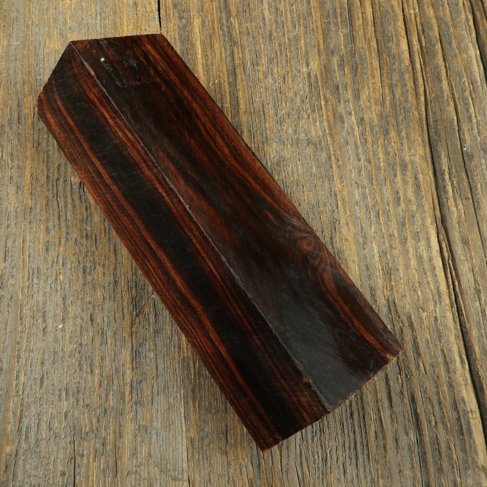 Arizona desert ironwood - 653